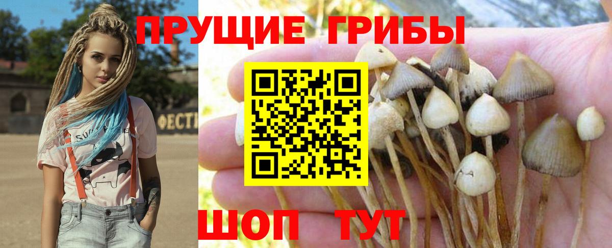 Галлюциногенные грибы прущие грибы Кинель